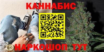 apvp Свободный